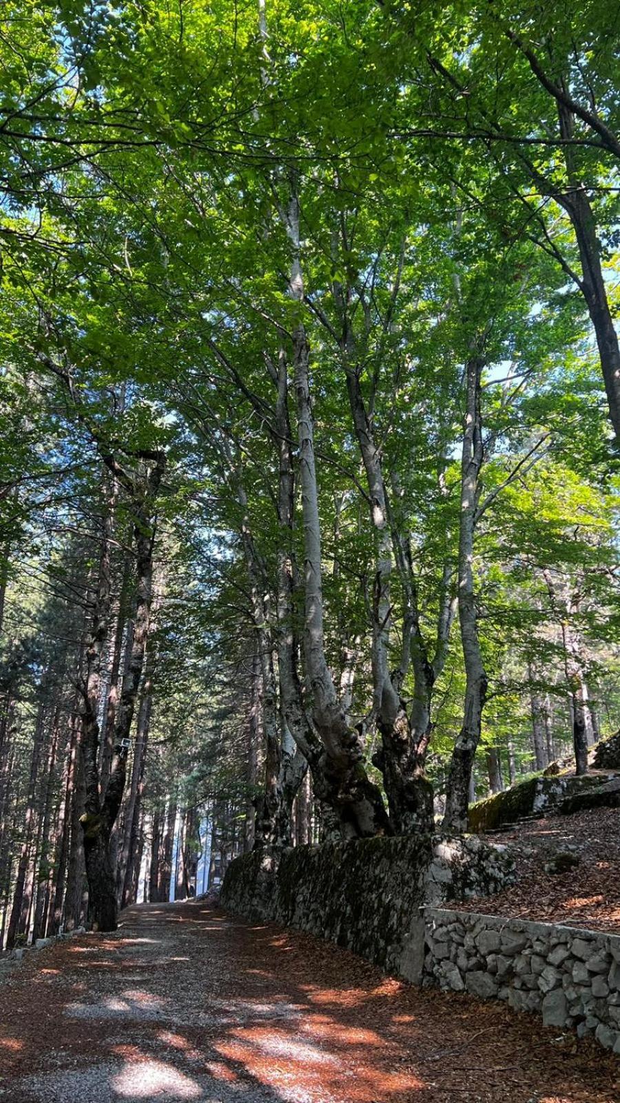 Vila Pepaj Razëm Dış mekan fotoğraf